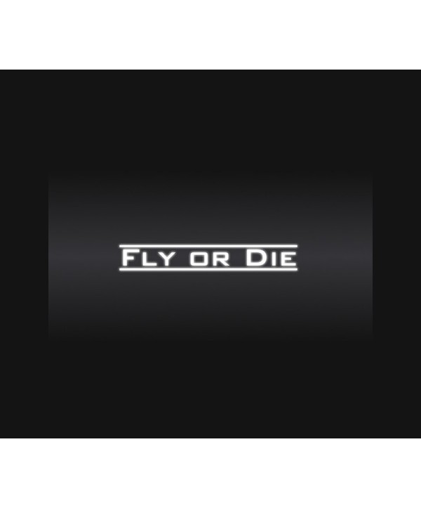 Fly Or Die Steam Key GLOBAL